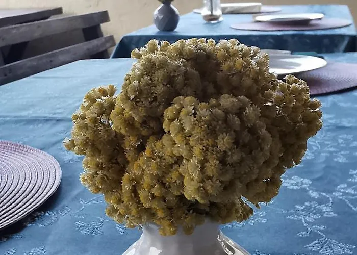 Casa Lavanda - Karin Gornji